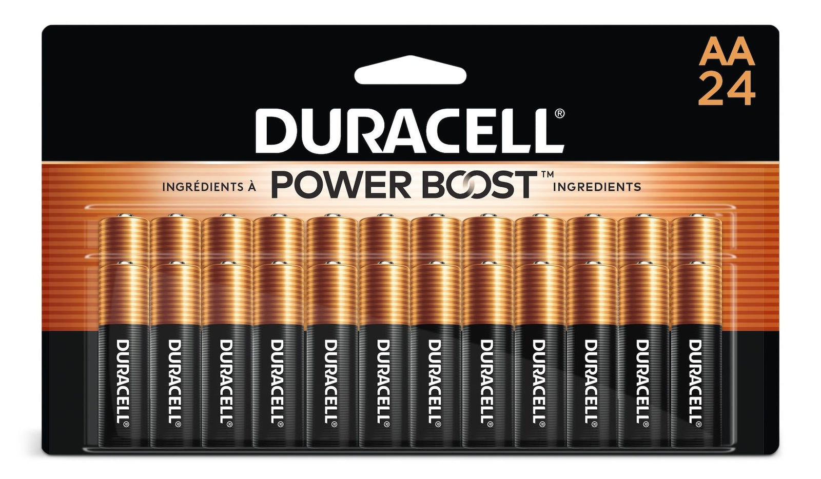 Coppertop AA Batteries, Alkaline, 24-pk P3F7 - product image 1