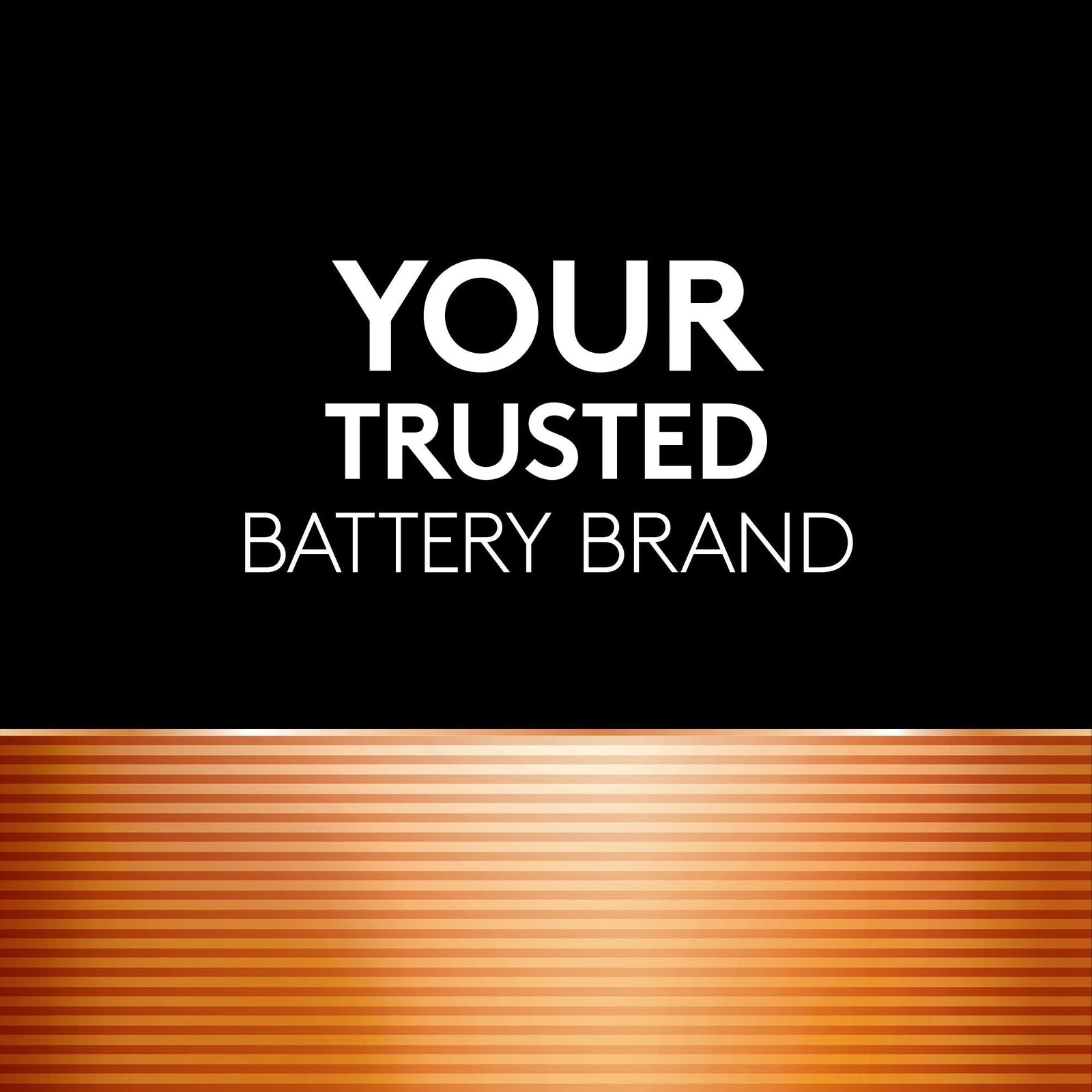 Coppertop AA Alkaline Batteries, All Purpose, 8-pk R6Z4 - product image 3