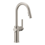 1-Handle Pull-Down Kitchen Faucet, Spot Resist Stainless N1A9 - product image 1